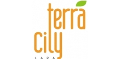 Terracity AVM Logo