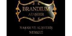 Brandium AVM