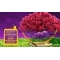 World Card World Card Bahar Kampanyas� - 50 TL Worldpuan Hediye!
