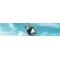 Axess Wings Card Axess Wings  R�ya �ehirler - Nisan 2012 R�ya �ehirleri