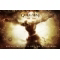 Sony God Of War: Ascension  6 ubat'ta n Siparie Alyor!