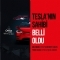 Capitol AVM Capitol AVM Tesla Model X ekili Sonucu