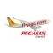 Pegasus Airlines Pegasus'tan Turkcell Mobil Czdan le deme Dnemi