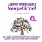 Capitol AVM Capitol Dilek Aac Bu Yl Nevehir in Yerleiyor