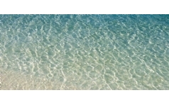 Emirates.com.tr'de Biletinizi 200 Euro Eksik �deyerek Al�n!