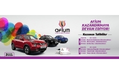 Afium Outlet Nissan Juke ekili Sonucu