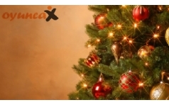 Ylba Elenceniz in Aradnz Her ey Oyuncax.com'da
