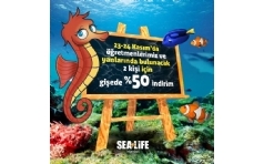 SEA LIFE Akvaryum retmenler Gn Kampanyas 2020