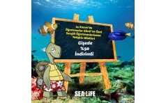 stanbul SEA LIFE Akvaryum Biletleri retmenlere %50 ndirimli