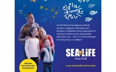 SEA LIFE Akvaryum'da Bonus'a %50 indirim