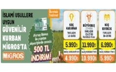 Migros Kurbanlk Sat 2023