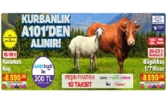 A101 Kurbanlk Sat 2023