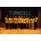 Turkcell Turkcell'in Kardelenler'i Biliim Alannda da 