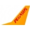 Pegasus Airlines Pegasus'tan Van'a lave Seferler