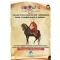Carousel AVM Do�umunun 400. Y�ld�n�m�nde Evliya �elebi Resim ve Foto�raf Sergisi Carousel'de