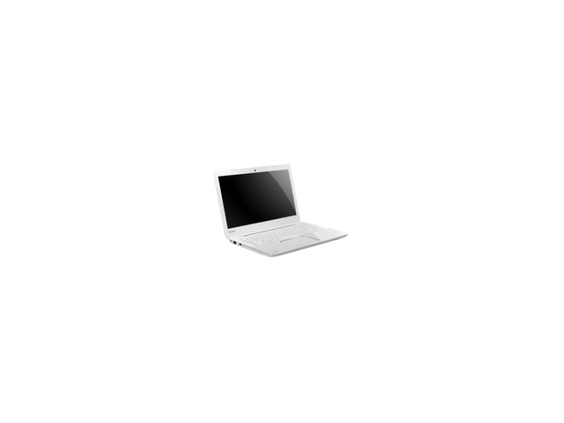 Toshiba Satellite L - 1