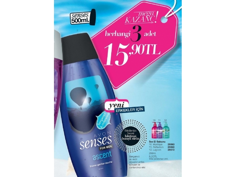 Avon Ocak 2015 Katalou - 141