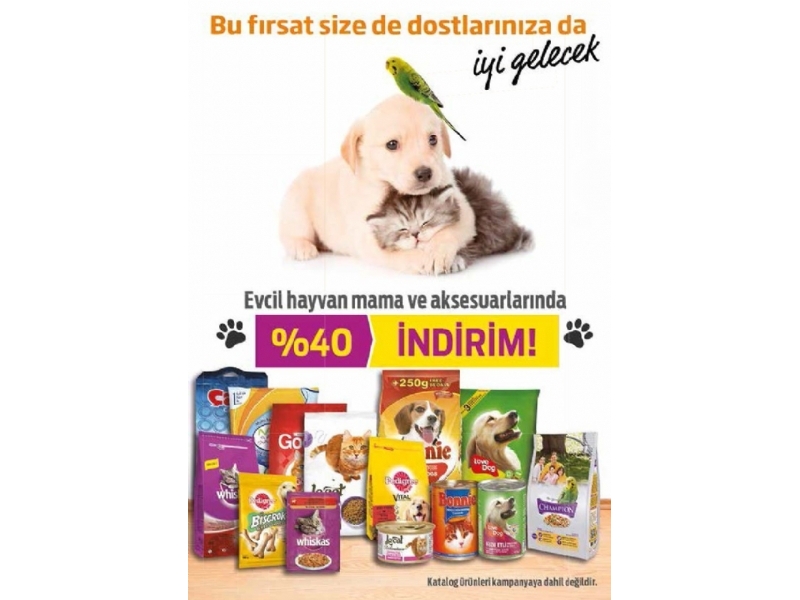 Migros 8 Ocak 2015 - 54