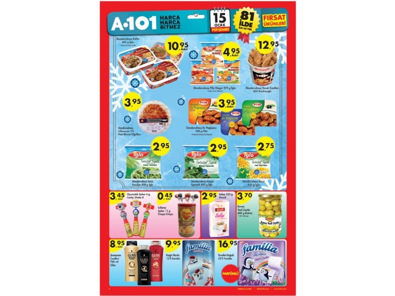 A101 15 Aralk 2015 - 5