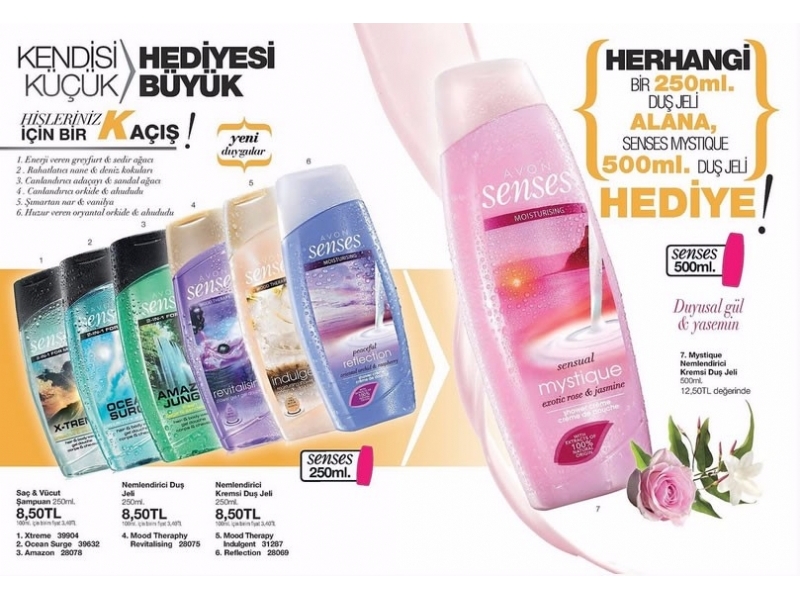 Avon 4 - 24 Temmuz 2015 - 72
