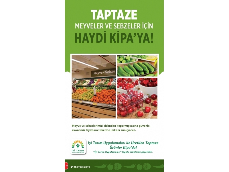 Kipa 9 - 22 Temmuz 2015 - 10