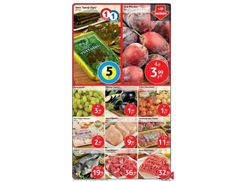 Kipa 14 Austos - 3 Eyll 2015 - 17