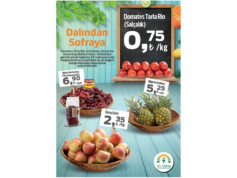 Migros 20 Austos - 2 Eyll 2015 Migroskop Dergisi - 16