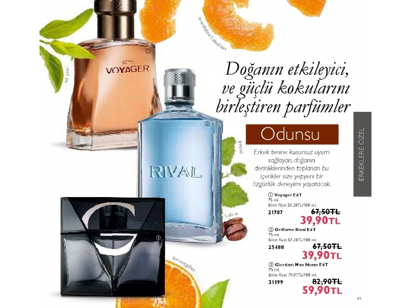 Oriflame Eyll 2015 Katalou - 45