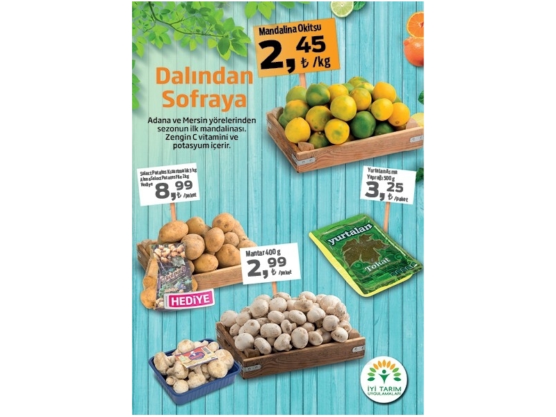 Migros 17-30 Eyll 2015 - 14