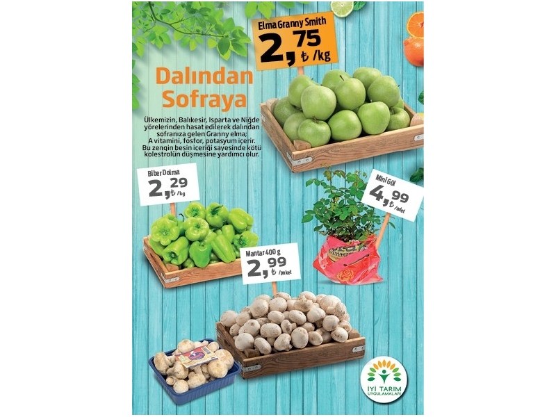 Migros 15-28 Ekim 2015 Katalogu - 16