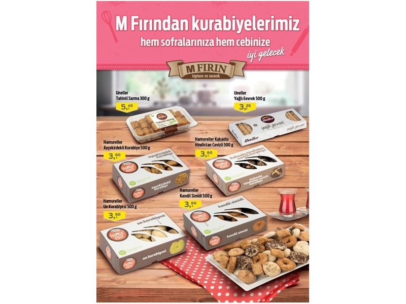 Migroskop 21 Ocak - 3 ubat - 17