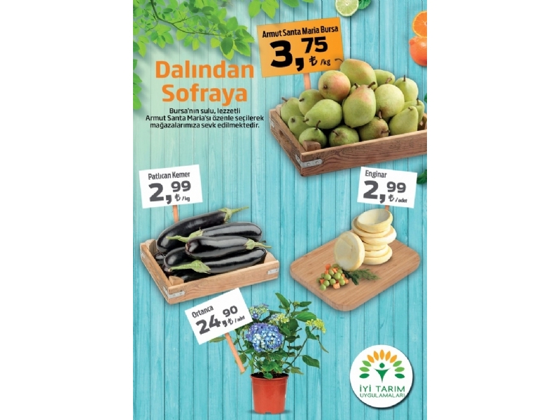 Migros 17 - 30 Mart Migroskop - 9