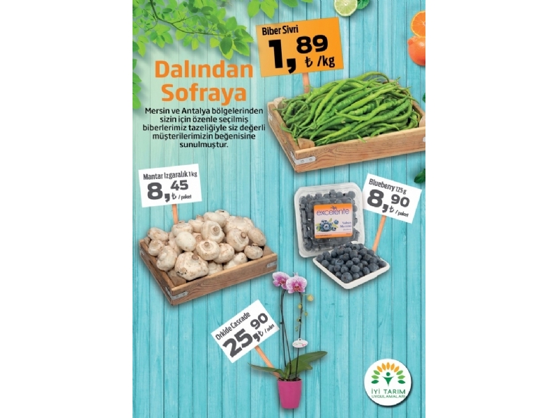 Migros 28 Nisan - 11 Mays - 31