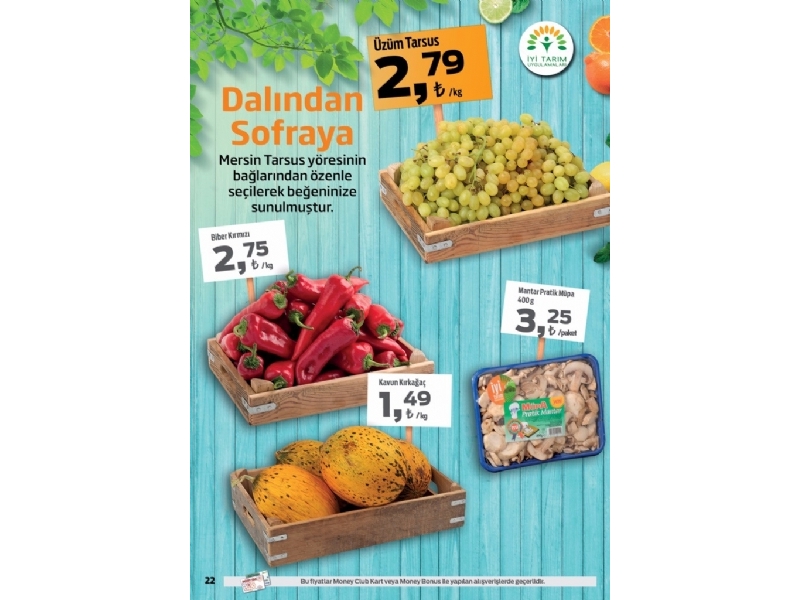 Migros 23 Haziran - 6 Temmuz Migroskop - 22