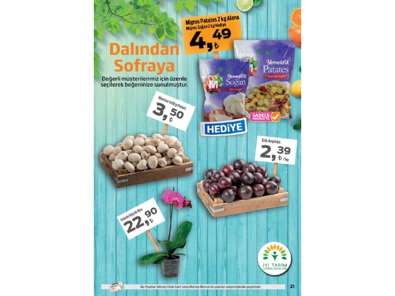 Migros 7-20 Temmuz Migroskop - 17