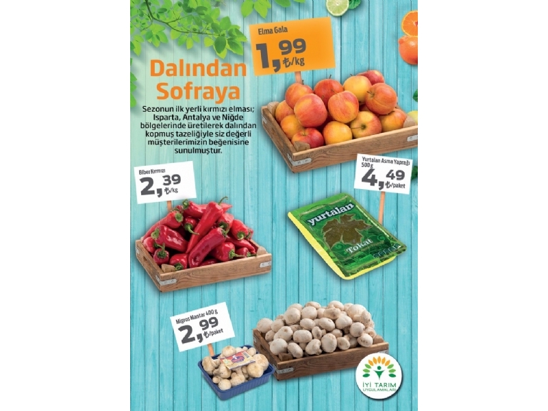 Migros 18 - 31 Austos Migroskop - 16