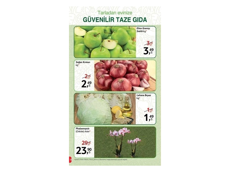 Kipa 12 Eyll - 12 Ekim Katalou - 12