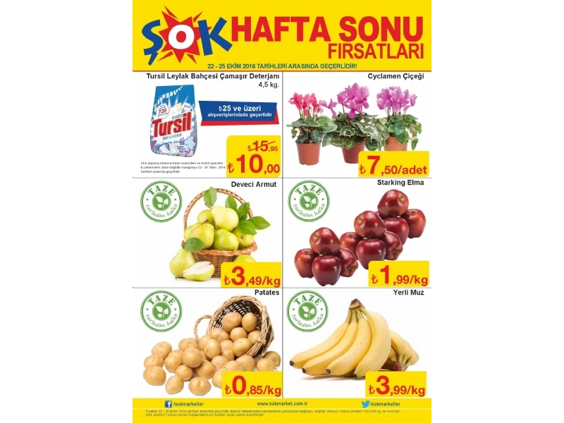 ok 22 - 25 Ekim Hafta Sonu - 1