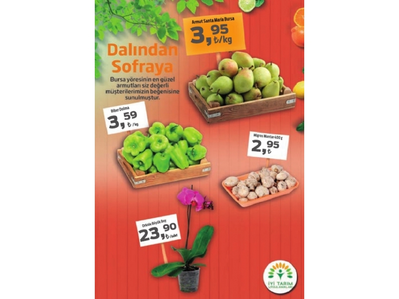 Migros 22 Aralk Migroskop Dergisi - 20