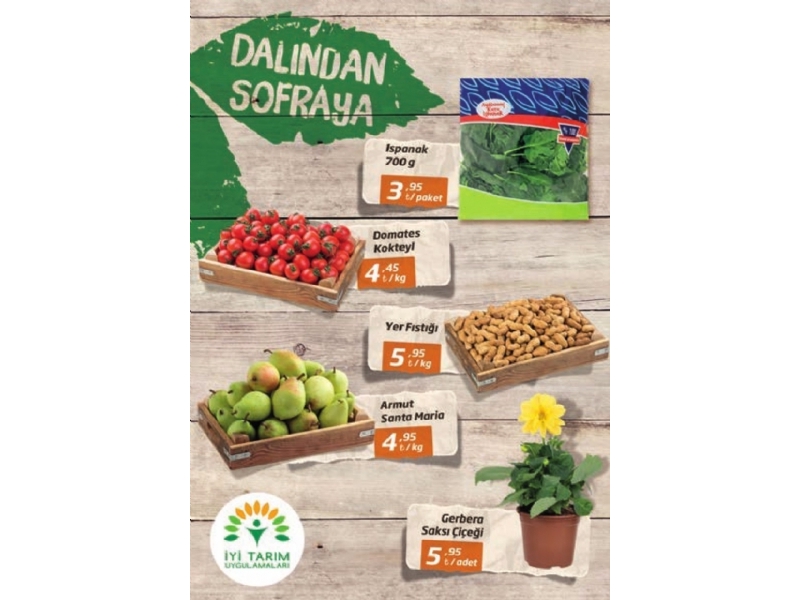 Migroskop 2 - 15 Mart - 14