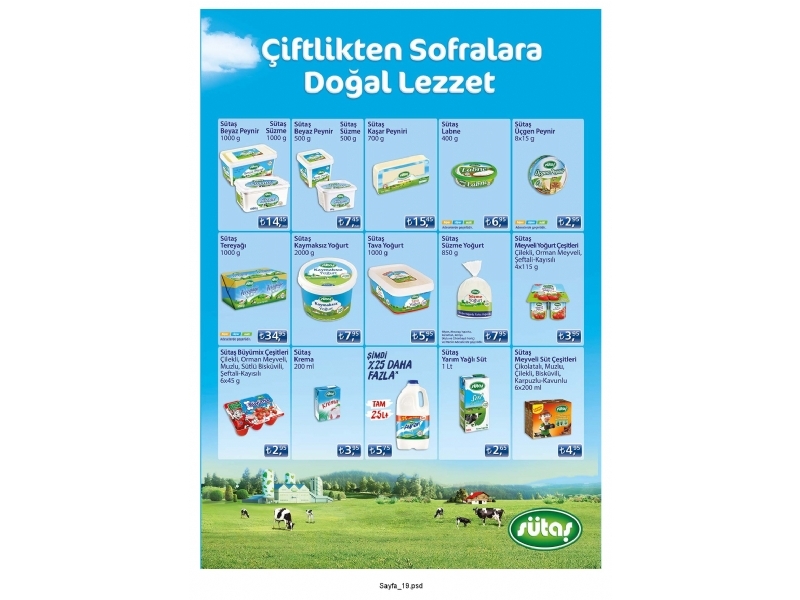 Adese 8 - 21 Eyll Krtasiye Katalou - 19