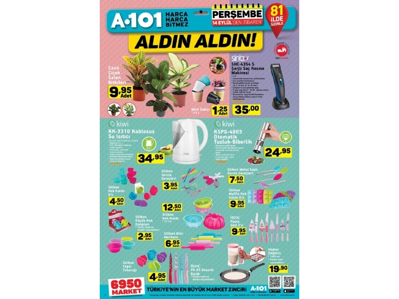 A101 14 Eyll Aldn Aldn - 5