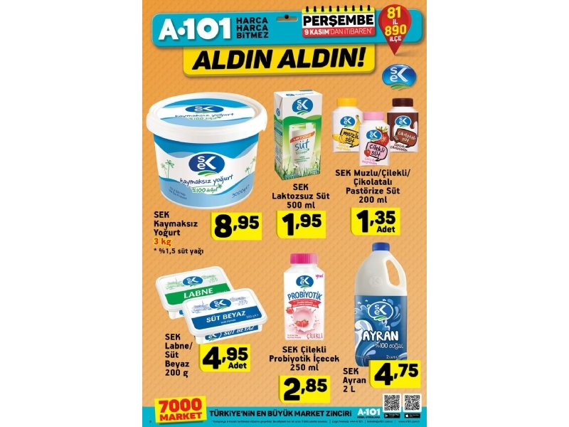 A101 9 Kasm Aldn Aldn - 7