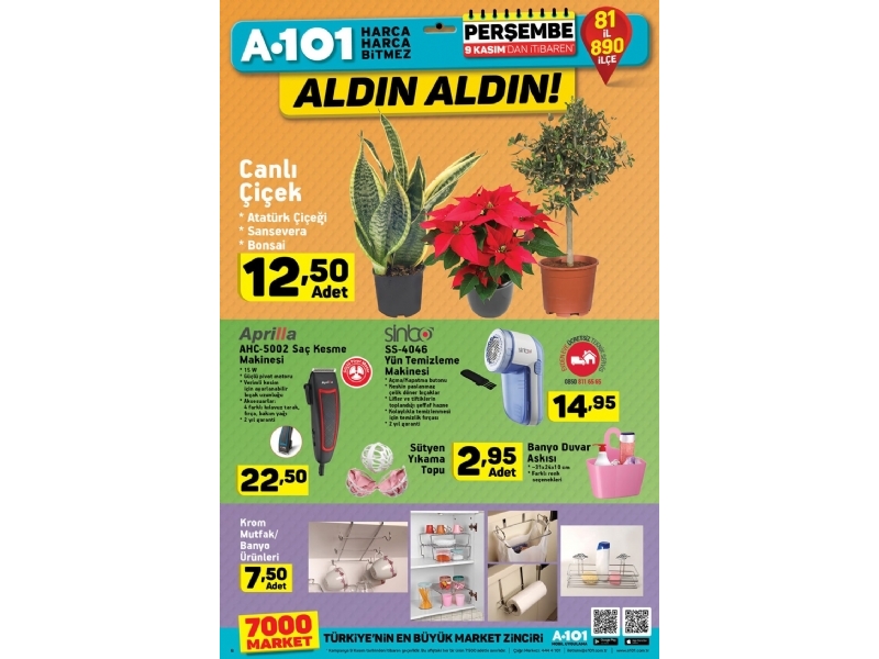 A101 9 Kasm Aldn Aldn - 4