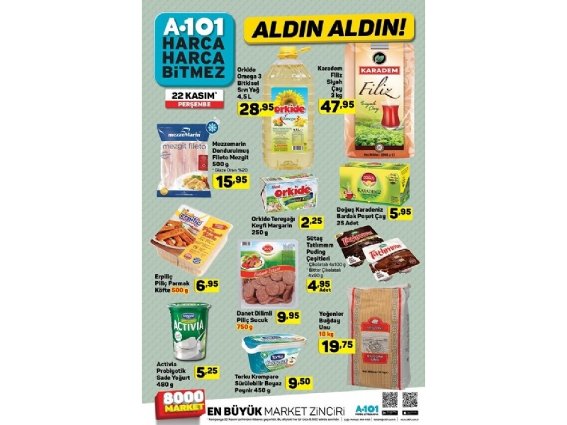 A101 22 Kasm Aldn Aldn - 6