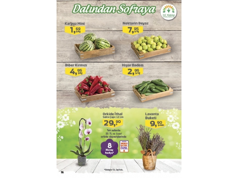 Migros 11 - 31 Temmuz Migroskop - 16