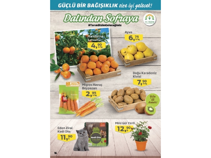 Migros 12 - 25 Kasm Migroskop - 16