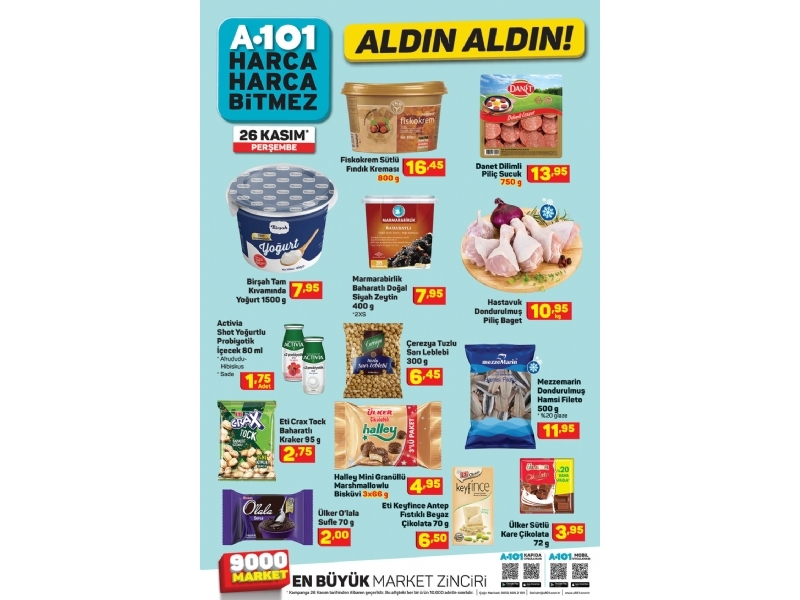 A101 26 Kasm Aldn Aldn - 8