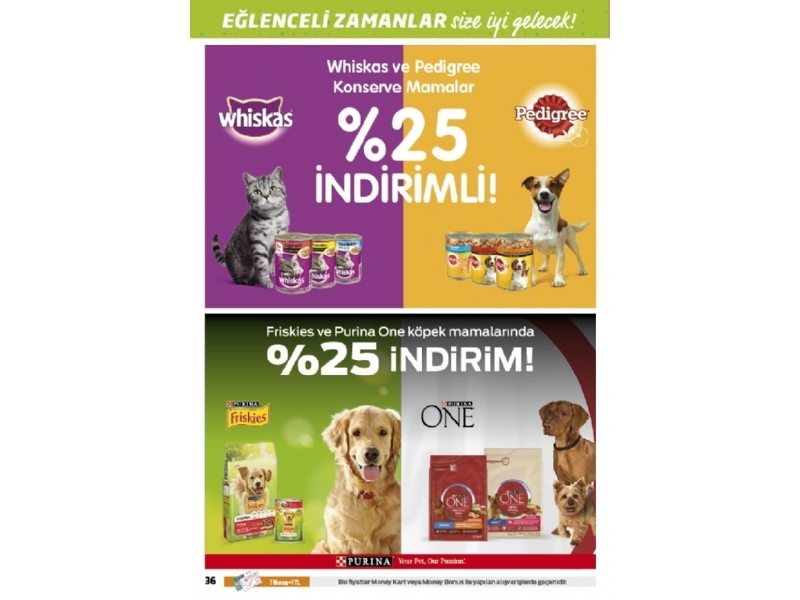 Migros 21 Ekim - 3 Kasm Migroskop - 92