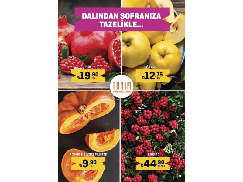 Migros 22 Aralk - 4 Ocak 2023 Ylba Migroskop - 31